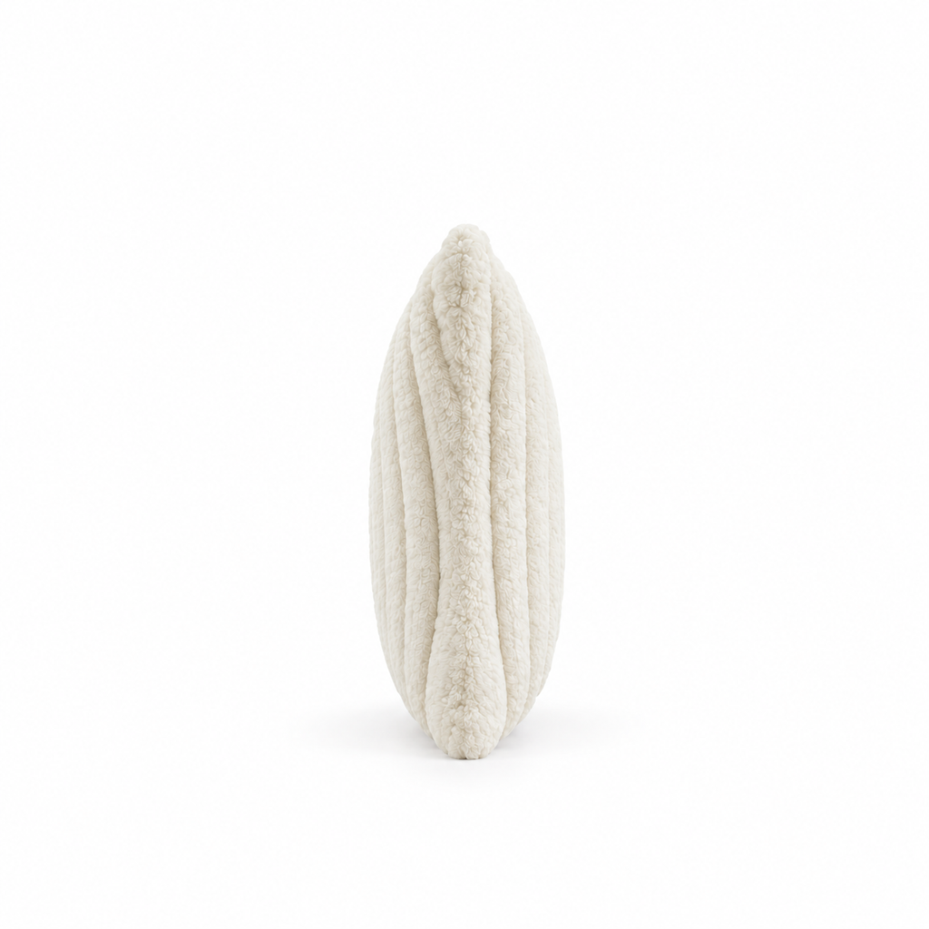 Pack de 4 Housses de Coussin Douces & Texturées