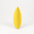 Coussin Déco