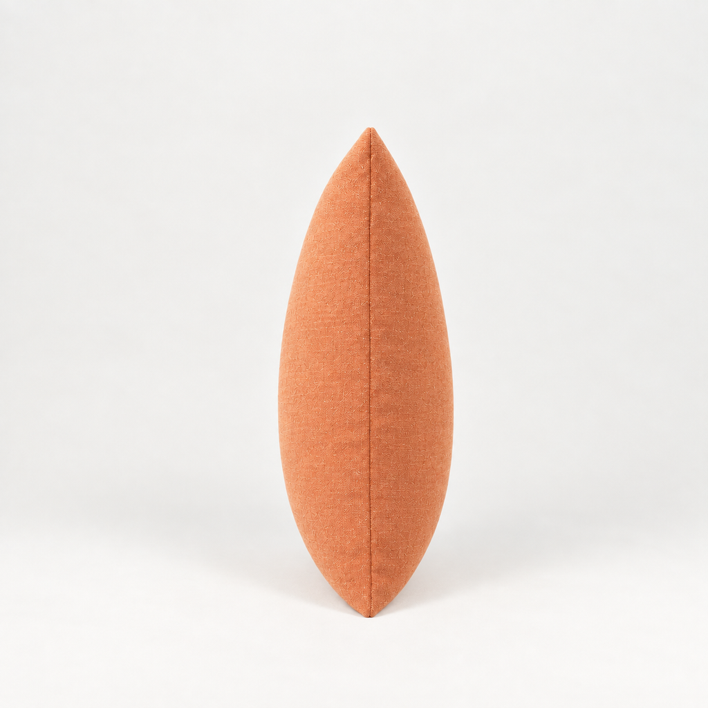 Coussin Déco